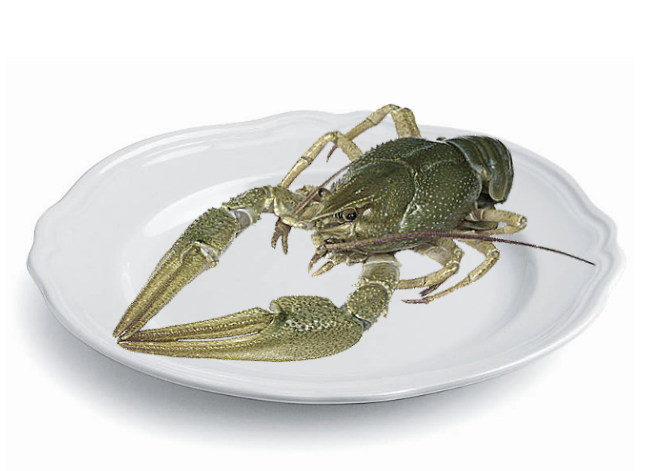 Раки Отборные Раки Отборные