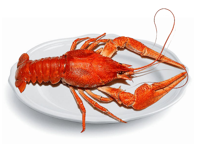 Раки Элитные Раки Элитные