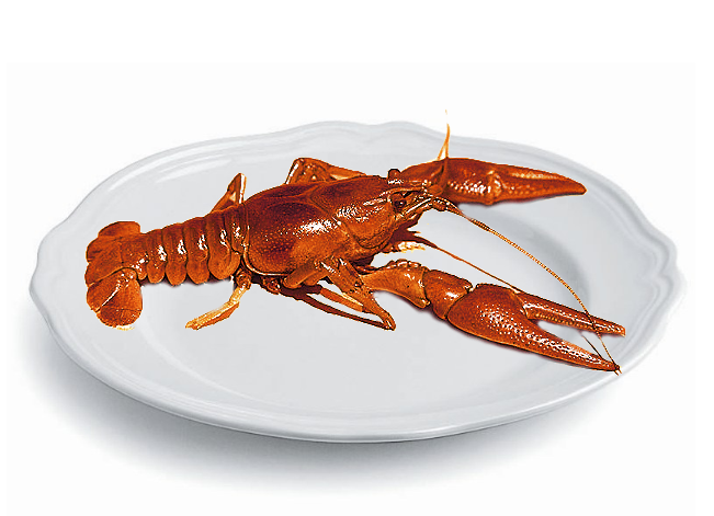 Раки Крупные Раки Крупные